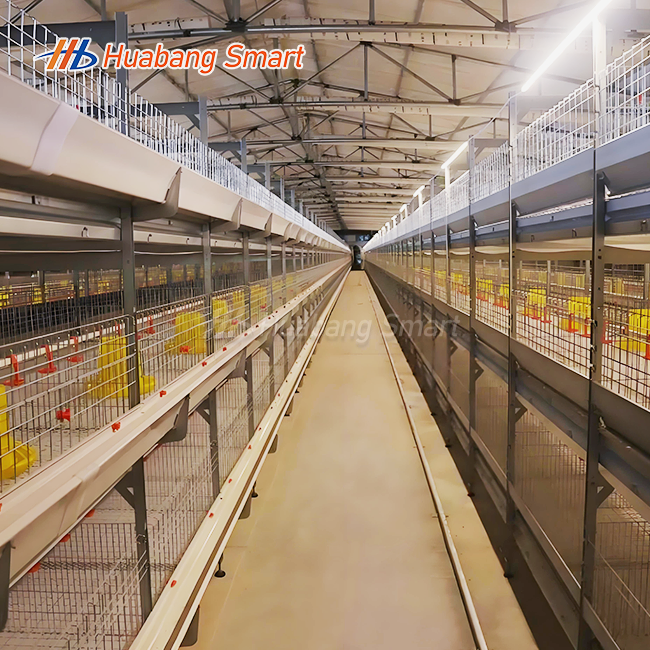 Multi Tier Broiler Chicken Cage